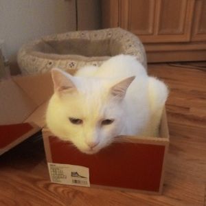 Meet your Posher, Laura